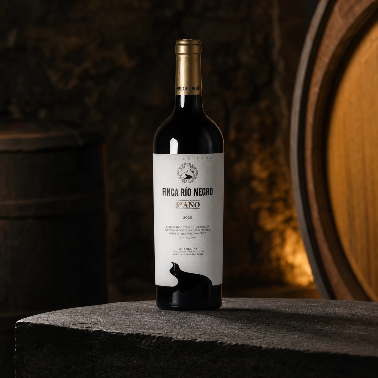 Finca Río Negro 5º Año